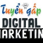 [Tháng 11] Tuyển dụng nhân viên Digital Marketing