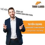 THM Land Hạ Long tuyển dụng: Giám đốc kinh doanh